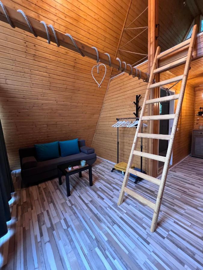 Cabane A-Frame Svinita ภายนอก รูปภาพ